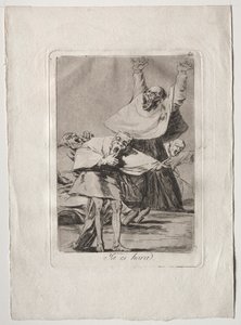 八十の気まぐれ: イッツ タイム 作： Francisco de Goya