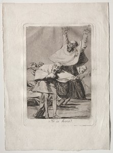 Ochenta Caprichos：それは時間、1793年から1798年です。 作： Francisco de Goya