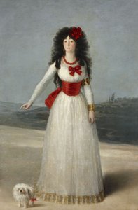 マリア・カエタナ・デ・シルバの肖像1762-1802、アルバ公13世、1795 作： Francisco de Goya