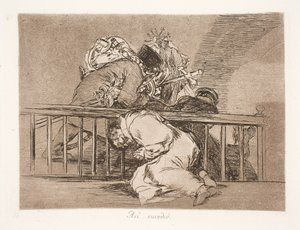 こうなった (47) 作： Francisco de Goya