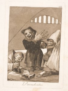 小さな荒らし 作： Francisco de Goya