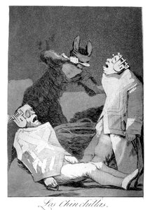 チンチラ、1799 作： Francisco de Goya