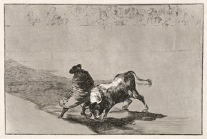 1814-16年、マントに包まれて動き回ることにより、賢い偽りの学生は雄牛に激怒しました。 作： Francisco de Goya