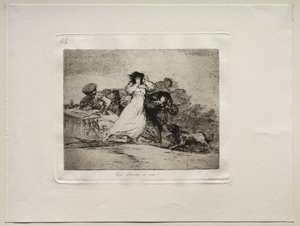 戦争の恐怖：このハバブは何ですか。 作： Francisco de Goya