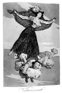 彼らは飛行しました、1799 作： Francisco de Goya