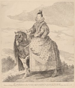 オーストリアのデイジー 作： Francisco de Goya after Diego Velázquez