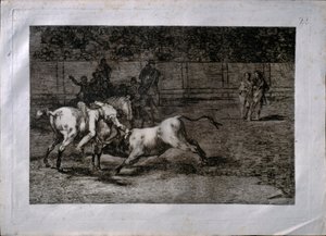 エル・インディオと呼ばれるマリアーノ・セバージョスが馬に乗って雄牛を殺す 作： Francisco de Goya