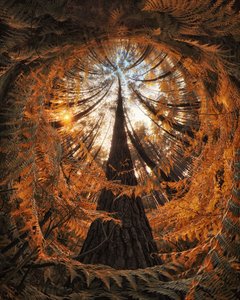  作： Francois Casanova