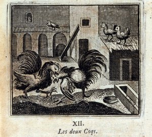 両方のコックピット。ジャン・ド・ラ・フォンテーヌ（1621-95）の寓話。挿絵はフランソワ・ショーボー（1613-1676）。1728年の版。 作： Francois Chauveau