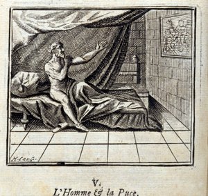 ジャン・ド・ラ・フォンテーヌ（1621-95）の寓話集。フランソワ・ショーボー（1613-1676）によるイラスト。1728年の版。 作： Francois Chauveau