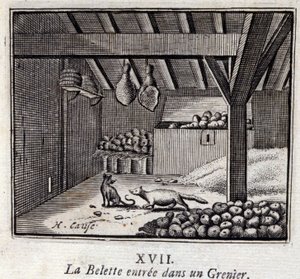 グルニエに入ったLa Weasette。ジャン・ド・ラ・フォンテーヌ（1621-95）の寓話。挿絵はフランソワ・ショーボー（1613-1676）。1728年の版。 作： Francois Chauveau