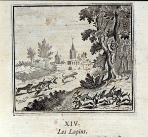 ウサギです。ジャン・ド・ラ・フォンテーヌ（1621-95）の寓話集。フランソワ・ショーボー（1613-1676）によるイラスト。1728年の版。 作： Francois Chauveau