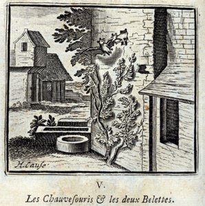 コウモリと2匹のイタチ。ジャン・ド・ラ・フォンテーヌ（1621-95）の寓話。挿絵はフランソワ・ショーボー（1613-1676）。1728年の版。 作： Francois Chauveau