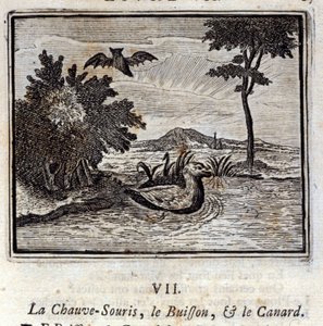 コウモリとブッシュとアヒル。ジャン・ド・ラ・フォンテーヌ（1621-95）の寓話。挿絵はフランソワ・ショーボー（1613-1676）。1728年の版。 作： Francois Chauveau