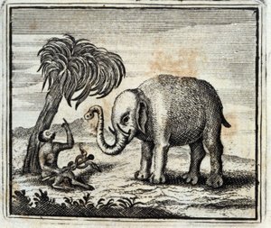 木星の象と猿。ジャン・ド・ラ・フォンテーヌ（1621-95）の寓話。挿絵はフランソワ・ショーボー（1613-1676）。1728年の版。