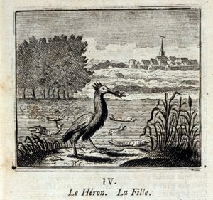 鷺です。ジャン・ド・ラ・フォンテーヌ（1621-95）の寓話。挿絵はフランソワ・ショーボー（1613-1676）。1728年の版。 作： Francois Chauveau