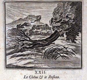 樫と葦。ジャン・ド・ラ・フォンテーヌ（1621-95）の寓話。挿絵はフランソワ・ショーボー（1613-1676）。1728年の版。 作： Francois Chauveau