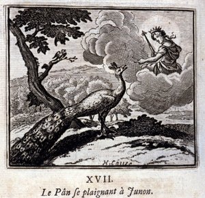 ジュノンに文句を言う孔雀。ジャン・ド・ラ・フォンテーヌ（1621-95）の寓話。挿絵はフランソワ・ショーボー（1613-1676）。1728年の版。 作： Francois Chauveau