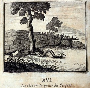 蛇の頭と尻尾。ジャン・ド・ラ・フォンテーヌ（1621-95）の寓話。挿絵はフランソワ・ショーボー（1613-1676）。1728年の版。 作： Francois Chauveau