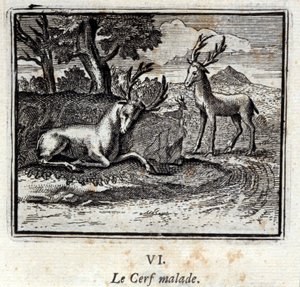 病気の鹿。ジャン・ド・ラ・フォンテーヌ（1621-95）の寓話。挿絵はフランソワ・ショーボー（1613-1676）。1728年の版。 作： Francois Chauveau