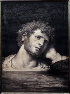 ヴィクトル・ユーゴー（1802-1885）の小説「海の旅人たち」の図版：フランソワ・ニコラ・シフラール（1825-1901）が描いたもの 1882年 パリ、ヴィクトル・ユーゴー・メゾン