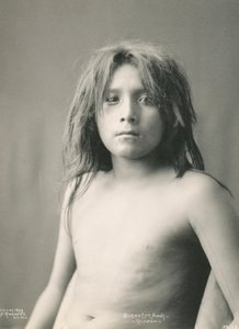 遥か彼方に埋葬された、コカパー 作： アドルフ・F・ムール