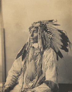Kill Spotted Horse、Assiniboines、1898（プラチナパラジウムプリント）