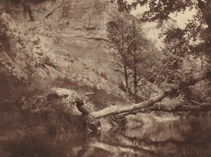 川岸、c。 1855年。