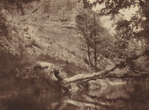 川岸、1855年頃1855年（写真）