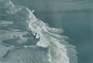成長するアイスフット、エヴァンス岬、1911年、1913年 作： Frank Debenham