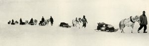 1913年、1913年3月のポニー 作： Frank Debenham