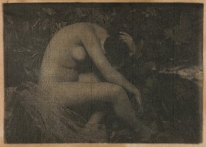蝉 作： Frank Eugene