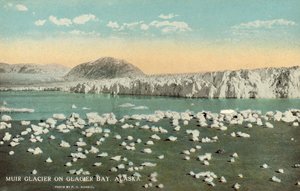 ミューア氷河、氷河湾、アラスカ、米国 (カラー写真) 作： Frank H. Nowell