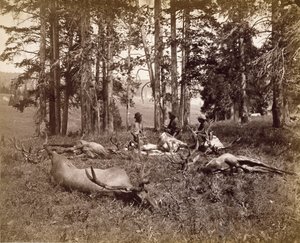 エルクハンター、イエローストーン、1880年頃（アルブメンシルバープリント） 作： Frank Jay Haynes
