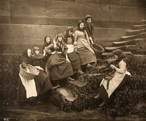 捕まる日々を待っている女性たち、ウィットビーハーバー、ノースヨークシャー、c.1899 作： Frank Meadow Sutcliffe