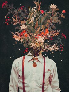  作： Frank Moth