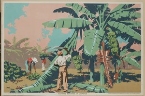 ジャマイカでバナナを切る（カラーリトグラフ） 作： Frank Newbould