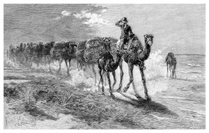 羊毛を運ぶラクダ、1886年。 作： Frank P. Mahony