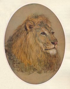 ライオンズヘッド、c1896