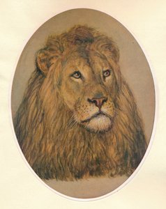ライオンズヘッド、c1896