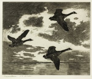 曇りの朝 作： Frank Weston Benson