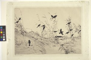 Blackbirds And Rushes (紙にインク) 作： Frank Weston Benson