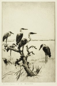 サギの休息 作： Frank Weston Benson