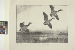 Três Gansos (tinta sobre papel) 作： Frank Weston Benson
