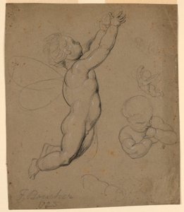プッチの研究 作： François Boucher