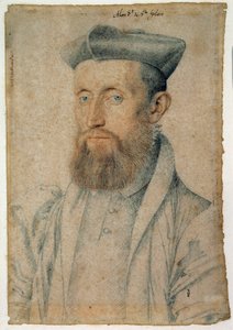 フランスの詩人、Mellin de Saint-Gelais（またはSaint Gelais, Saint Gelays, Saint Gelays, Sainct Gelais）（1495-1558）の肖像。クルエ・フランソワ（1515-1572）による血と黒い石を使ったドローイング、1500年頃。シャンティイ、コンデ美術館 作： François Clouet