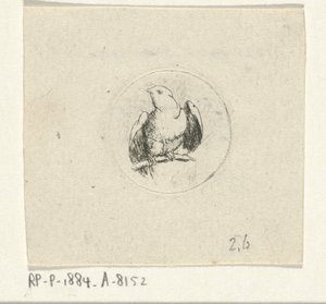 木の枝にとまる鳥 作： François de Maleck