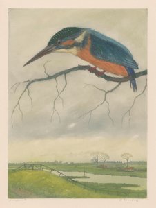 牧草地の風景の中の枝にカワセミ 作： Frans Everbag (signed by artist)
