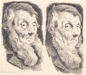 ひげを生やした老人のテスト プレート、2 回右を向いている 作： Frans Schwartz