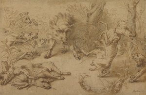 湾内のイノシシ 作： Frans Snijders